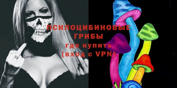 гашик Бугульма